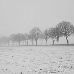 WhatsApp Image 2026-02-08 at 15.41.53_3